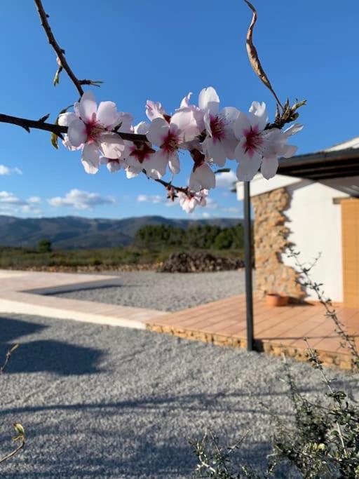 Les Coves de Vinroma La Llobatera Casa Rural מראה חיצוני תמונה